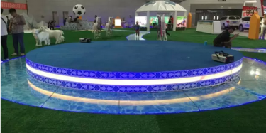 不去內蒙古就能感受風吹草低見牛羊，還不快來跟畢加展覽去探班